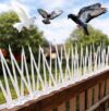 XONOV Bird and Pigeon Spikes, Pigeon Control Spikes Anti Bird Plastic Spikes for AC Balcony Railing Window Home Protection from Pigeon Dog Monkey Crow Kabootar Transparent (Pack of 5 (13 Inch))