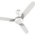 Orient Electric’s 1200 mm Wendy| Decorative ceiling fan with dual-toned blades| Anti-rust blades| High-speed fan with PSPO technology|100% Copper motor | 2-year warranty | Metallic Black-Gold