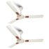 Eveready 40W LED Hammer Bulb | High CRI & High Efficiency | Energy Efficient | Mercury-Free | 4KV Surge Protection | 100 Lumens Per Watt | Cool Day Light (6500K) (Pack of 2)