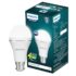 PHILIPS 50W B22 LED Cool Day Light Bulb, Pack of 1, (Stellar Bright)