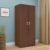 Nilkamal Massif Neo 2 Door Wardrobe Without Mirror | 3 Year Warranty | Engineered Wood Almirah | 1 Hanging Rod & 3 Storage Shelves in Cabinet | Legno Oak