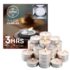Desidiya 200 LED Waterfall Curtain String Lights 3x2m Warm White