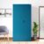 Interio by Godrej Aceline 2 Door Steel Almirah with Half Locker