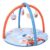 TIDY SLEEP Baby Play Gym | Activity Play Gym with 4 Detachable Toys, | Foldable & Travel-Friendly (Delicious Tour), Multicolor, 1 Count