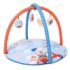 TIDY SLEEP Baby Play Gym | Activity Play Gym with 4 Detachable Toys, | Foldable & Travel-Friendly (Happy Baby), Multicolor, 1 Count