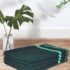 Nayra Live Button Jade Plant Indoor Plant with Black nursery Pot |Small Plant With Pot